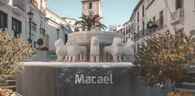 Macael